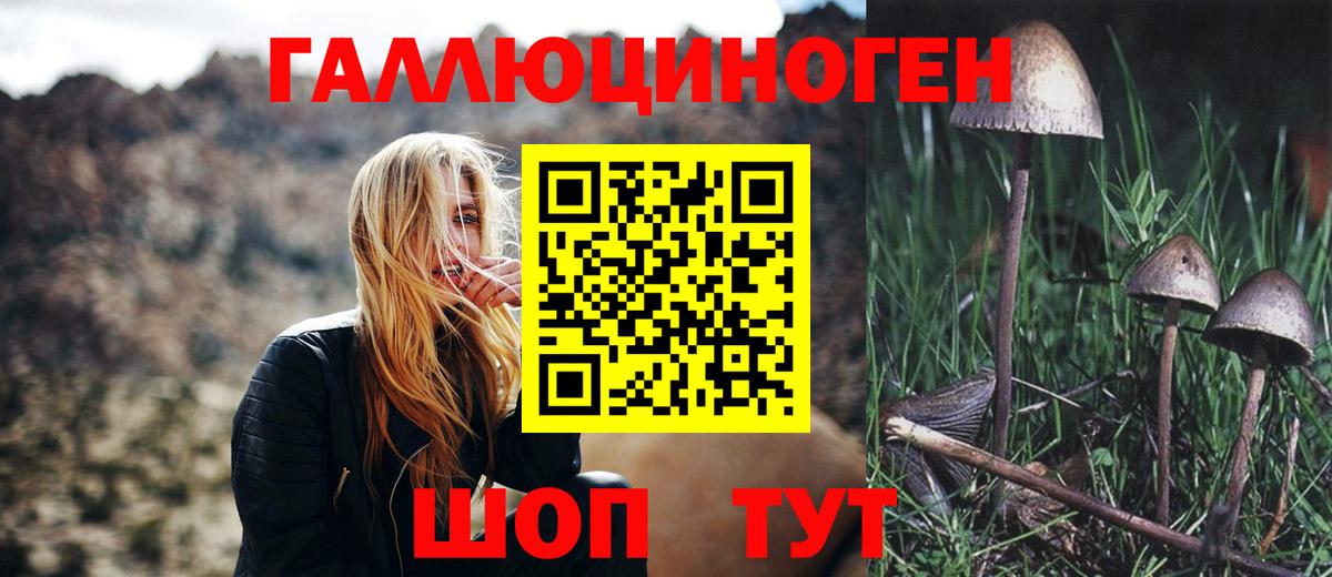 Псилоцибиновые грибы GOLDEN TEACHER  Псилоцибиновые грибы Psilocybe  Вход с VPN  Северск 